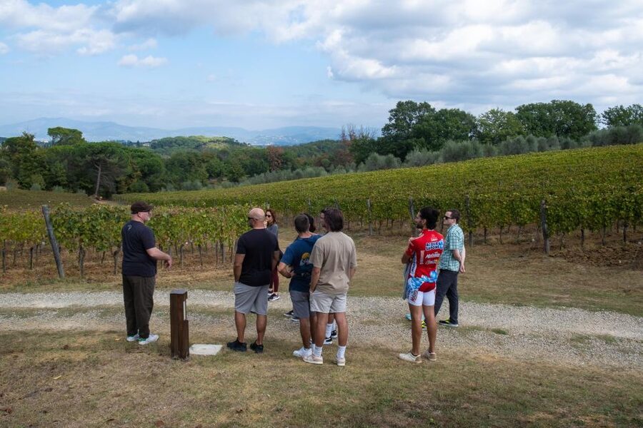 Florence: Chianti E-Bike Tour with Tuscan Lunch & Winery - Scenic stops with room for photographs