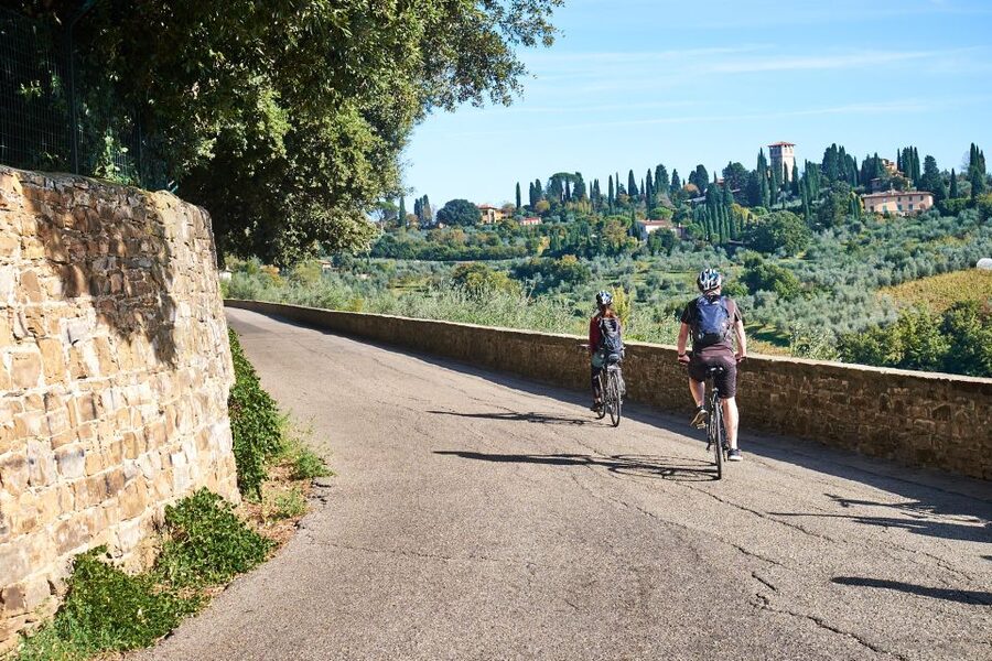 Florence: Chianti Hills Bike Tour with Farm Lunch & Wine - Key points to know before booking