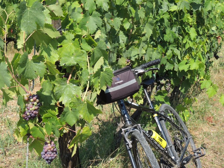 Florence: Chianti Hills Bike Tour with Farm Lunch & Wine - The $152 price and what it covers
