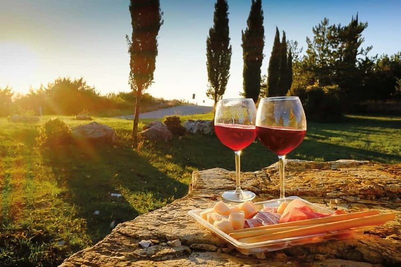 Florence: Chianti Vineyards Tour with Wine Tasting & Dinner - The Chianti evening at a glance