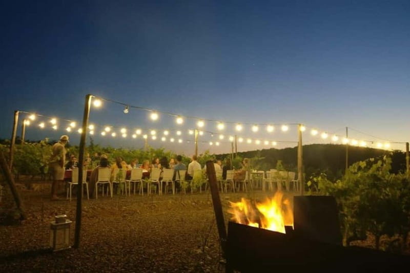 Florence: Chianti Vineyards Tour with Wine Tasting & Dinner - Should you book it?