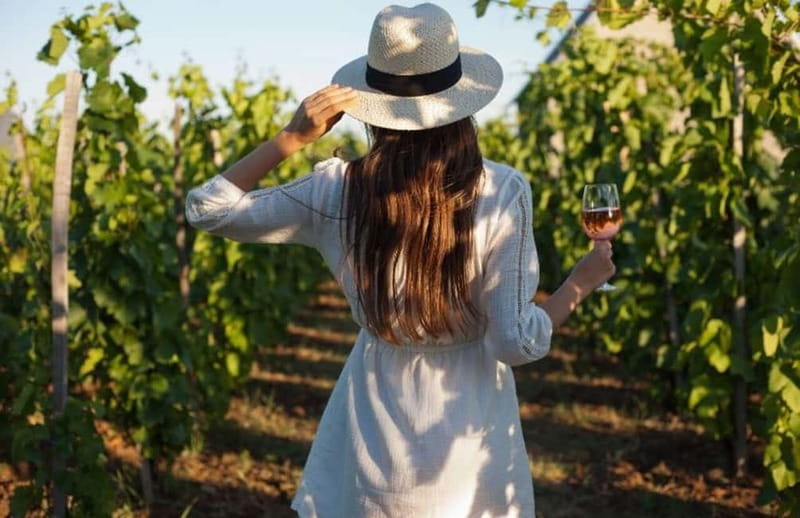 Florence: Chianti Vineyards Tour with Wine Tasting & Dinner - Leaving Florence for the Tuscan hills