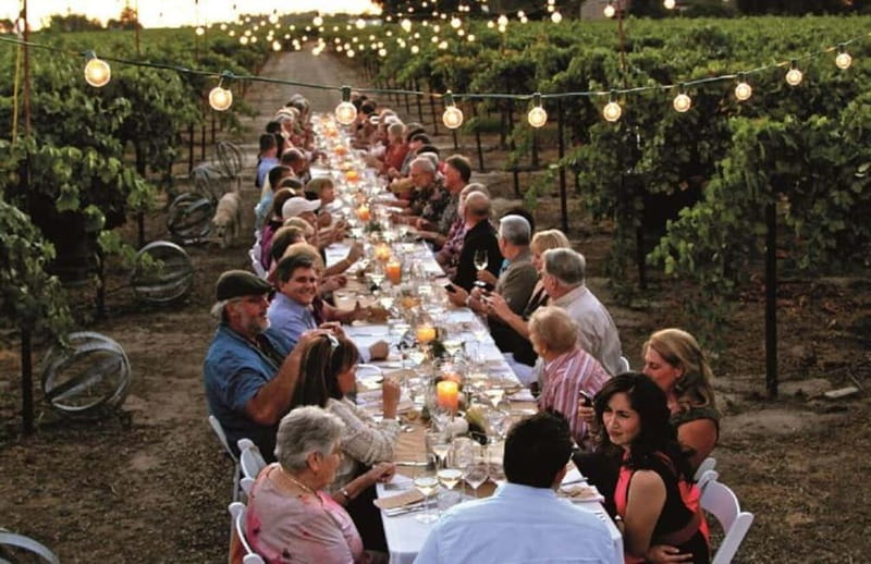 Florence: Chianti Vineyards Tour with Wine Tasting & Dinner - The vineyard dinner is the main event