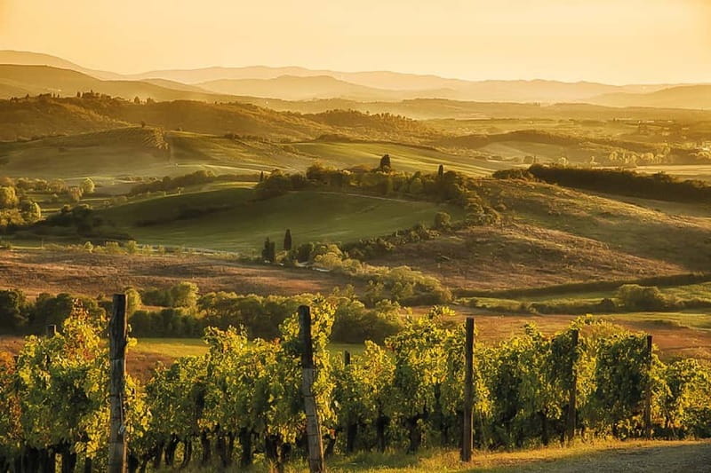 Florence: Chianti Vineyards Tour with Wine Tasting & Dinner - How the $128 price holds up