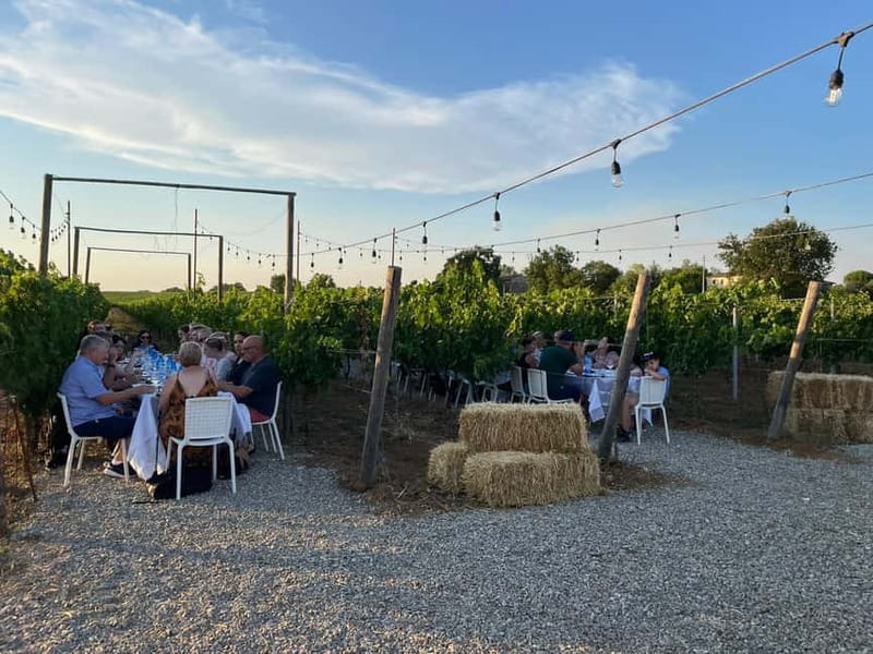 Florence: Chianti Vineyards Tour with Wine Tasting & Dinner - Group size, languages, and the social side