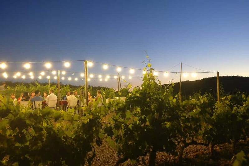 Florence: Chianti Vineyards Tour with Wine Tasting & Dinner - Practical details before you book
