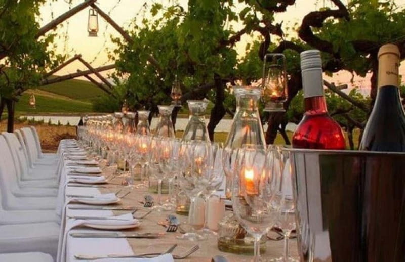 Florence: Chianti Vineyards Tour with Wine Tasting & Dinner - A winery visit with more than a single sip