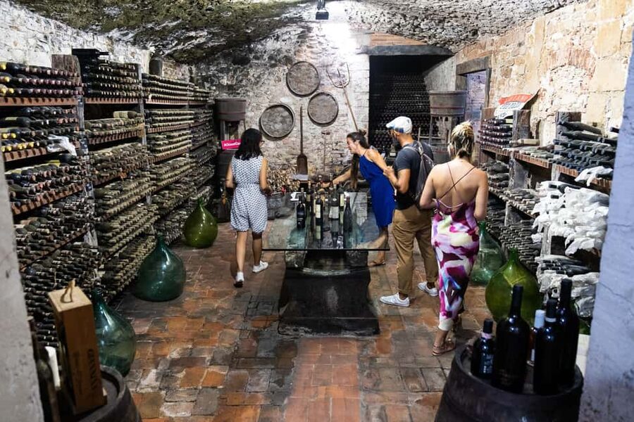 Florence: Chianti Wine Tour with 3 Wineries & Tuscan Lunch - Second stop: organic farming, olive oil, and lunch