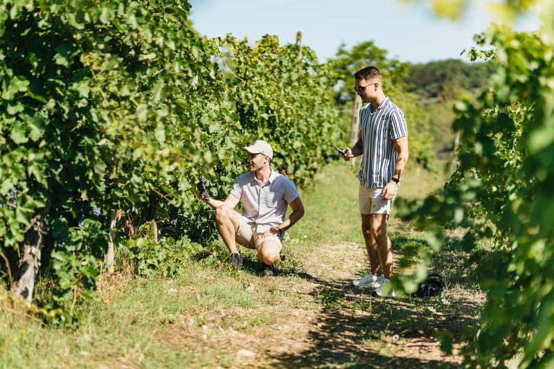 Florence: Chianti Wineries Tour with Wine Tasting - Who Will Enjoy This Tour Most?