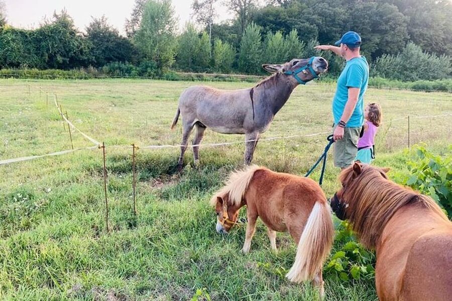 Florence: Countryside Tour with Wine Tasting & Pasta Class - Timing, Weather, and What to Pack