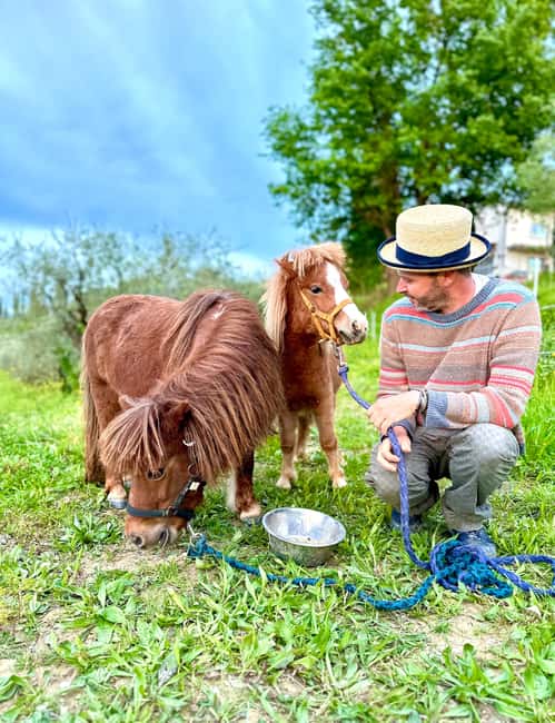 Florence: Countryside Tour with Wine Tasting & Pasta Class - Walking Through Vineyards, Olive Trees, and a Botanical Garden