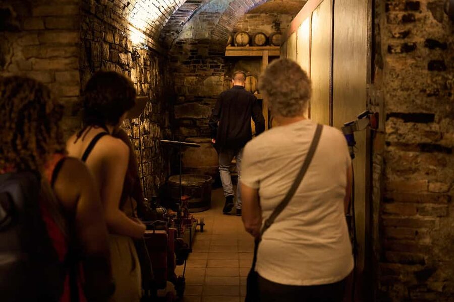Florence: Great Chianti Wine and Olive Oil Trail with Lunch - Olive oil at an old Tuscan estate