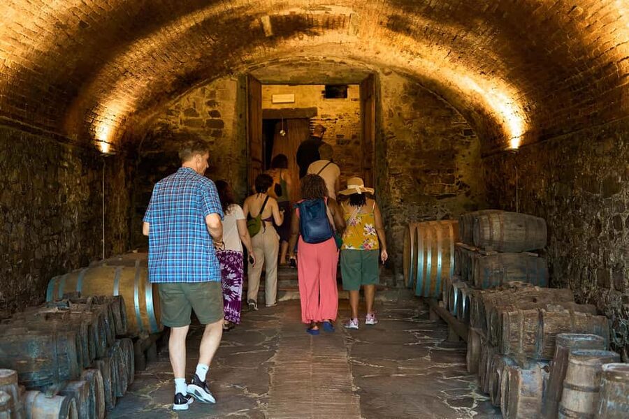 Florence: Great Chianti Wine and Olive Oil Trail with Lunch - Greve in Chianti, with limited time to wander