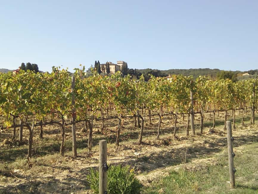 Florence: Horseback Riding Tour with Wine Tasting & Transfer - Key points to know before booking