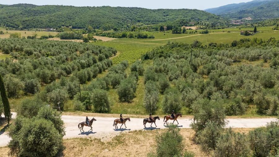 Florence: Horseback Riding Tour with Wine Tasting & Transfer - Leaving Florence from Piazza dei Cavalleggeri