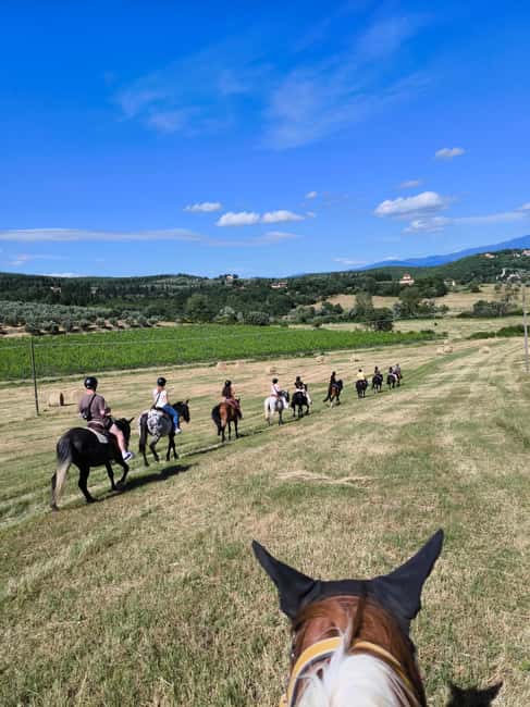 Florence: Horseback Riding Tour with Wine Tasting & Transfer - Riding through olive groves and vineyards