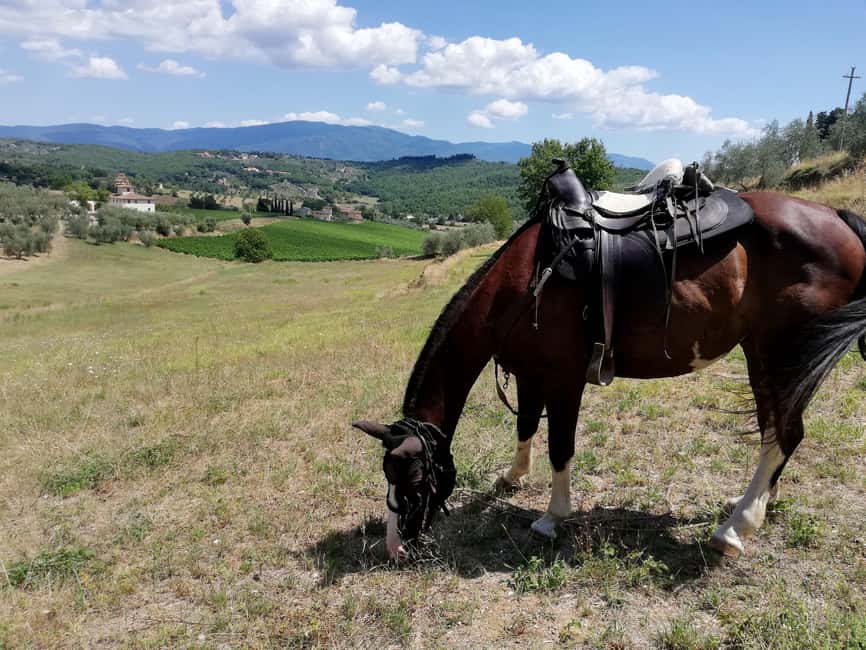 Florence: Horseback Riding Tour with Wine Tasting & Transfer - Timing, clothing, and useful preparation