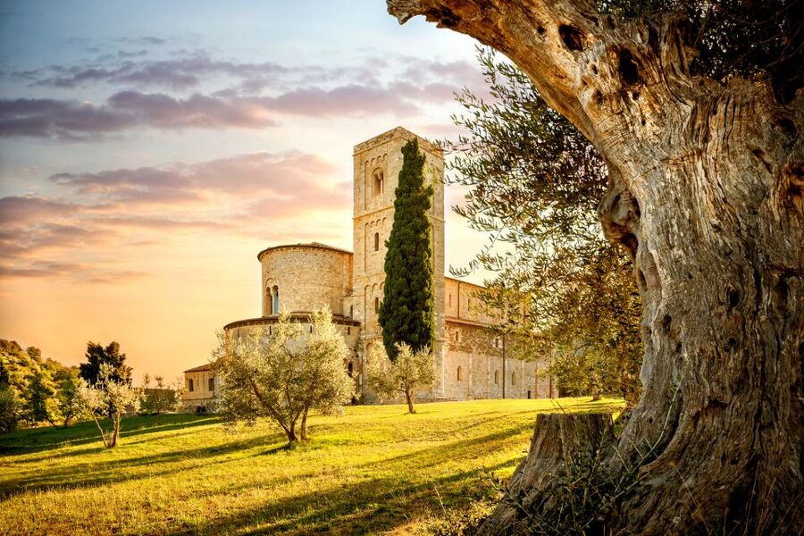 Florence: Monteriggioni & Val d'Orcia Optional Wine Tasting - Who will get the most from this tour?