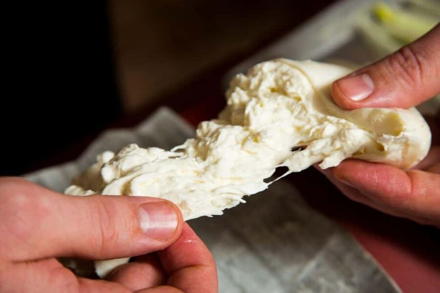 Florence: Mozzarella Making Workshop with Wine Tasting - What makes this Florence cheese class special