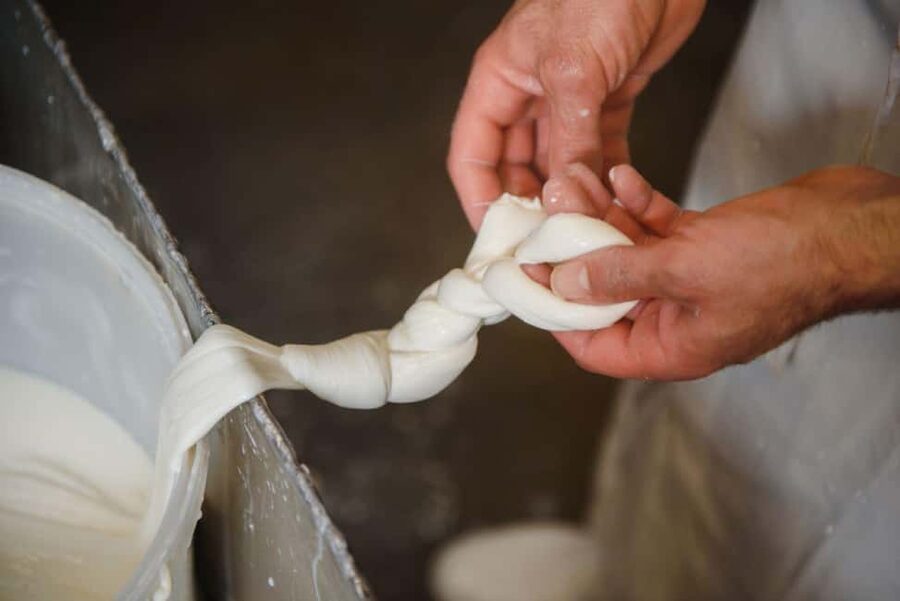 Florence: Mozzarella Making Workshop with Wine Tasting - Turning curds into mozzarella