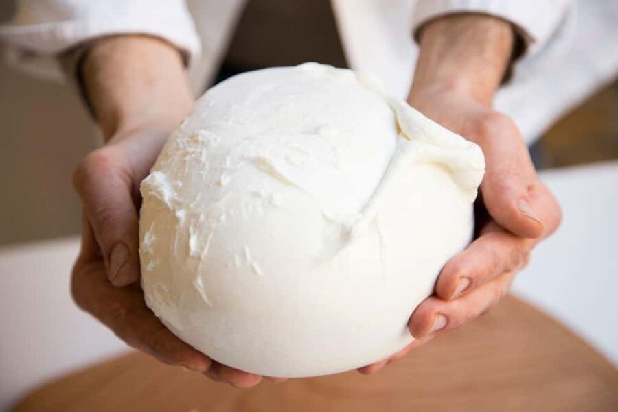 Florence: Mozzarella Making Workshop with Wine Tasting - Welcome Prosecco and the first taste of Italy