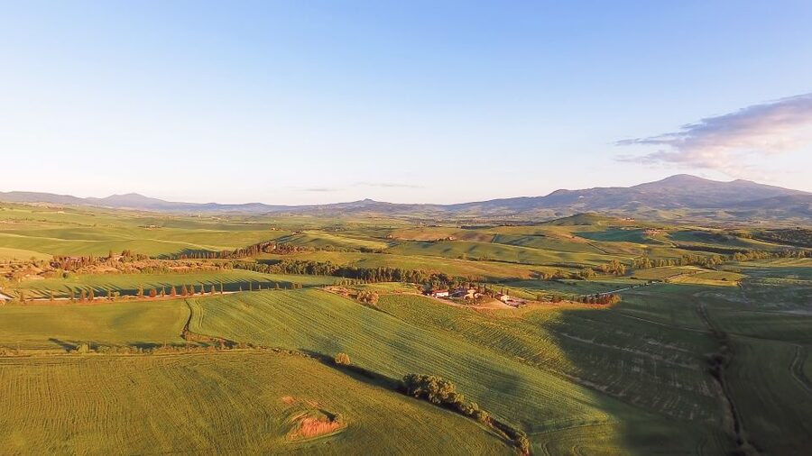 Florence: S. Gimignano, Siena, Chianti Wine Tasting & Lunch - Two hours among San Gimignano’s medieval towers