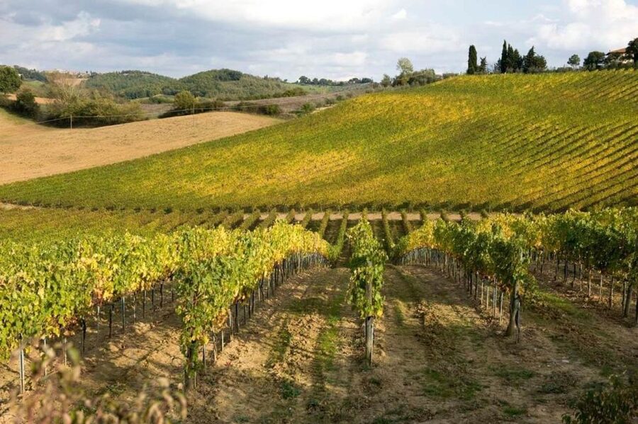 Florence: Siena & San Gimignano Day Trip with Lunch & Wine - What the nine-hour schedule feels like