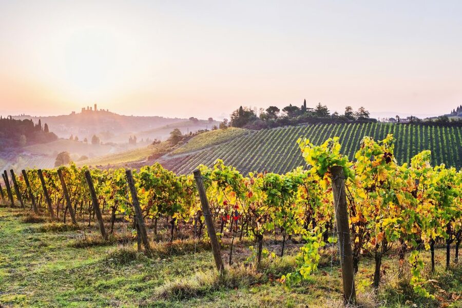 Florence: Siena & San Gimignano Day Trip with Lunch & Wine - Starting at Piazzale Montelungo
