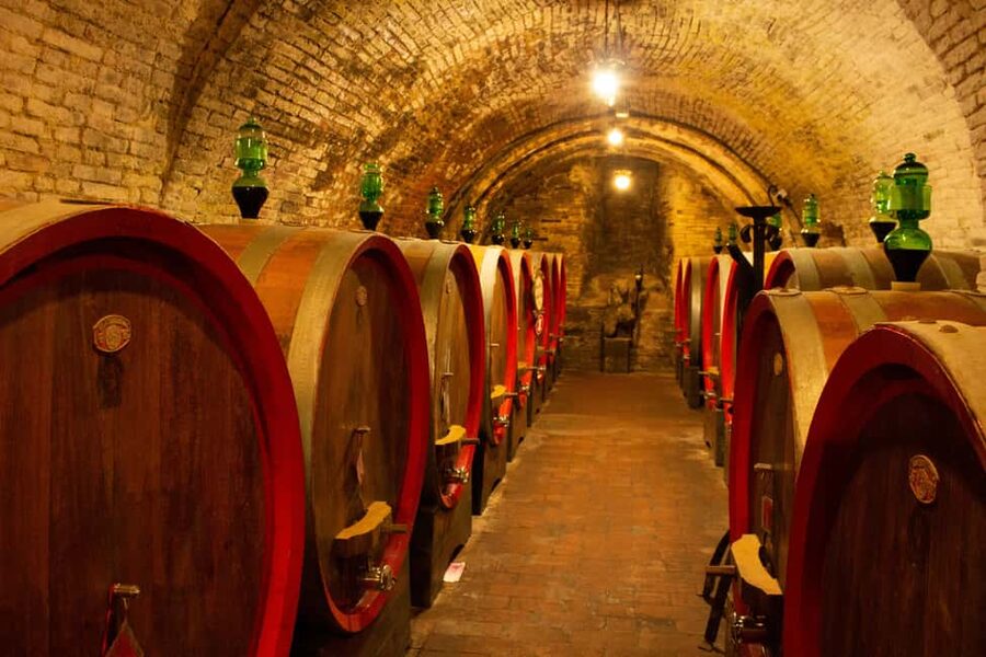 Florence: Valdorcia Wine, Brunello Montalcino, Montepulciano - Who should book this Tuscan outing?