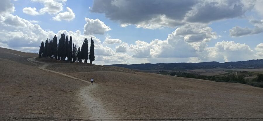 Florence: Valdorcia Wine, Brunello Montalcino, Montepulciano - Montepulciano and the underground city