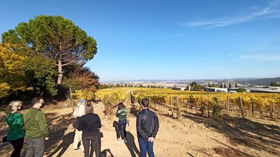 Florence: Valdorcia Wine, Brunello Montalcino, Montepulciano - What the $265 price really buys