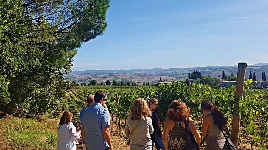 Florence: Valdorcia Wine, Brunello Montalcino, Montepulciano - Weather, clothing, and practical limits