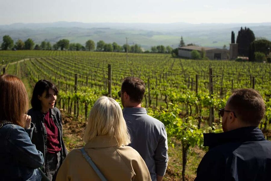 Florence: Valdorcia Wine, Brunello Montalcino, Montepulciano - Leaving Florence for the Tuscan hills