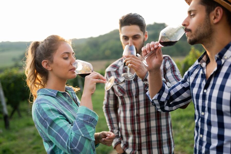 Florence: Wineries, Tastings, Lunch & San Gimignano Day Trip - Should you book the Chianti and San Gimignano day trip?
