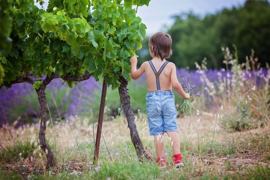 Florence: Wineries, Tastings, Lunch & San Gimignano Day Trip - The second winery and the Tuscan lunch