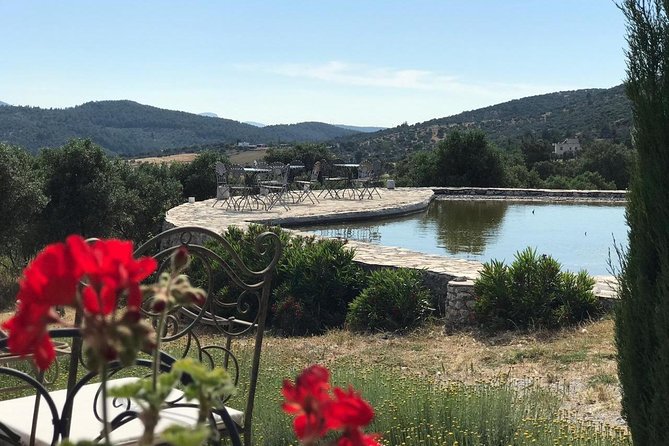 Food and Wine pairing Dinner at Karnas Vineyards Bodrum - Why this is a good break from Bodrum’s beach scene