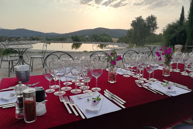 Food and Wine pairing Dinner at Karnas Vineyards Bodrum - A cellar visit with the vineyard story