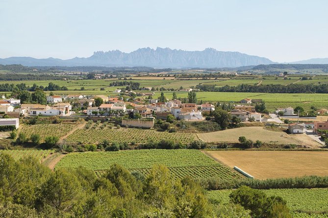Food and Wine Small Group Tour from Barcelona - Maximum 8 people - The guides make or break the day