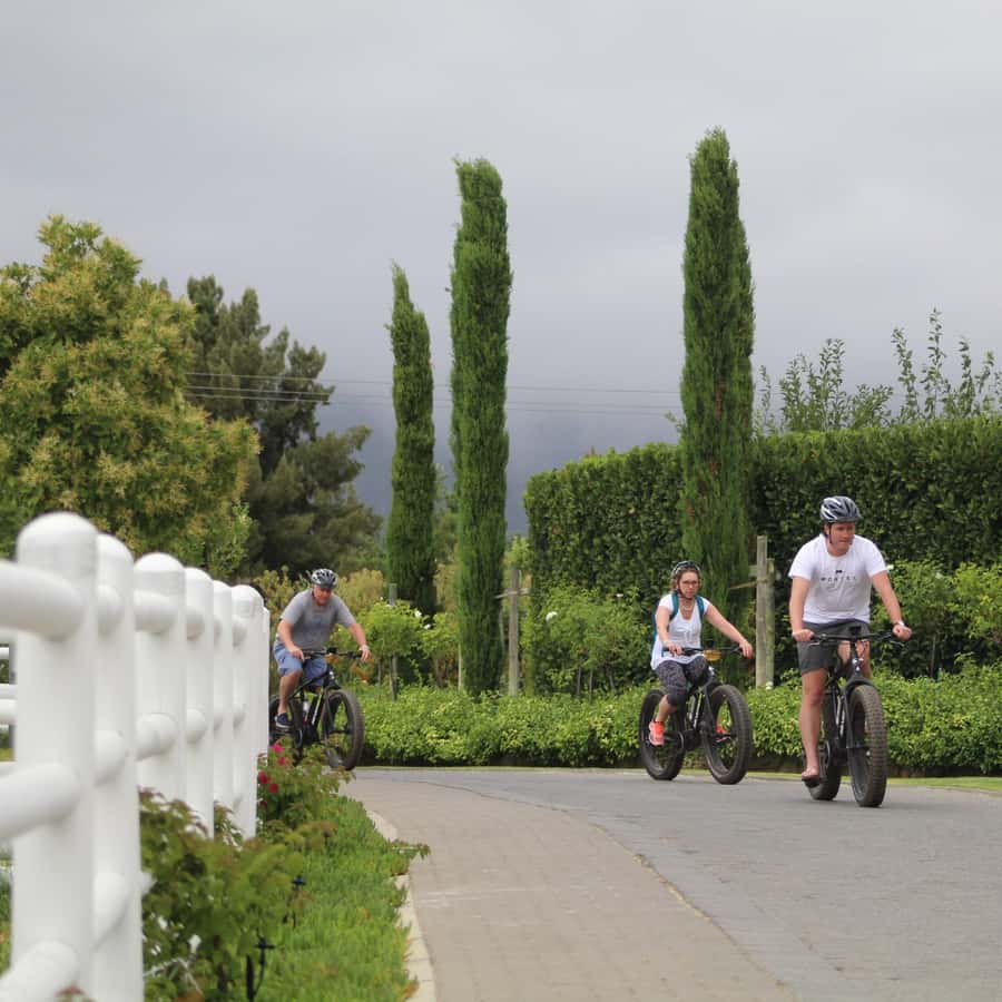 Franschhoek: E-Bike Guided Winery Tour - Starting at Franschhoek’s bike shop