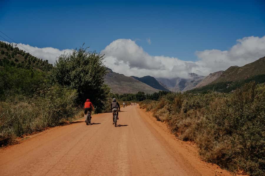 Franschhoek: E-Bike Guided Winery Tour - Who will enjoy this tour most