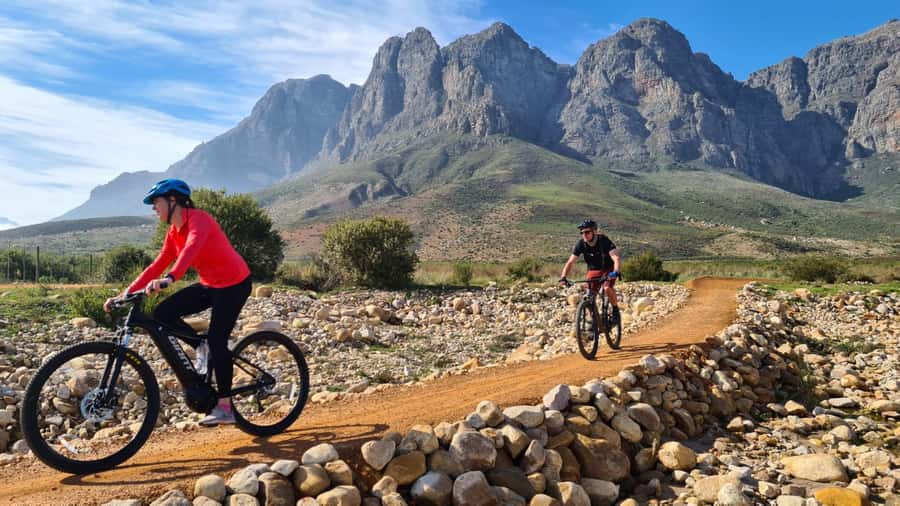 Franschhoek: E-bike Tour with Wine Tasting and Lunch - Lunch and wine tasting at a Franschhoek estate