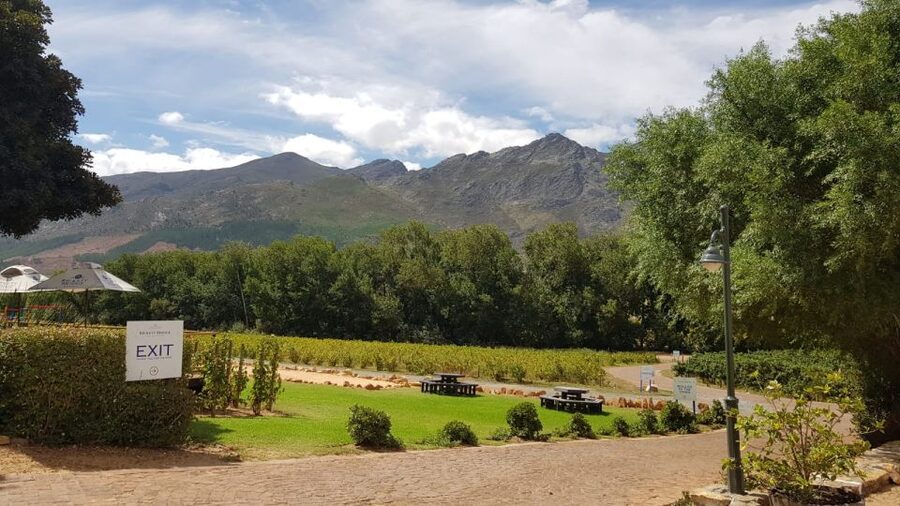 Franschhoek & Stellenbosch: Full-Day Wine Tour - Starting with Stellenbosch wine country