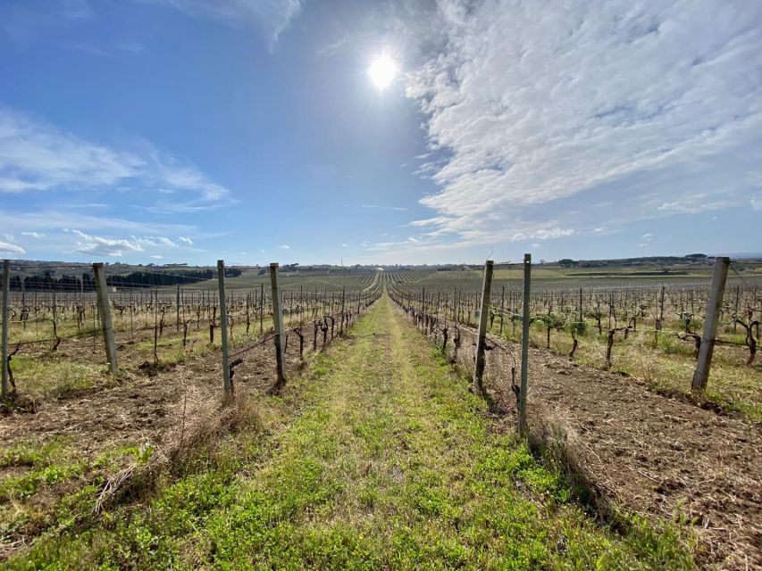 Frascati: Tour in E-Bike with Wine Tasting - Ancient Tusculum adds more than scenery