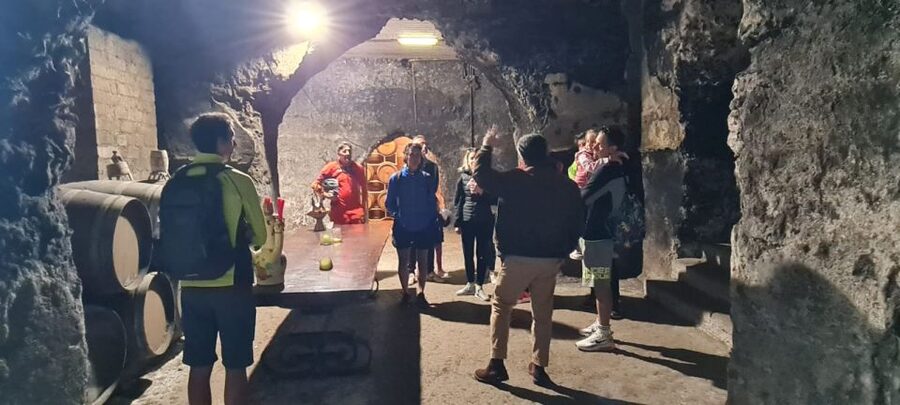 Frascati: Tour in E-Bike with Wine Tasting - Should you book the Frascati e-bike wine tour?