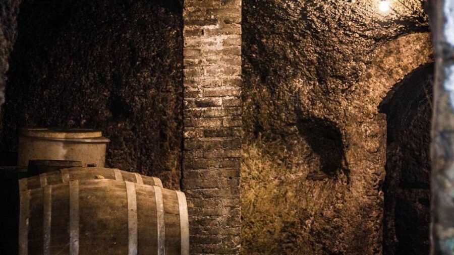 Frascati Wine Road from Rome: Tasting & Lunch - Should You Book the Frascati Wine Road?