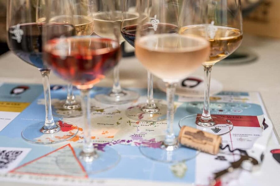 Frecnh Wine Tasting in City Center of Nice - Is this the right Nice activity for you?