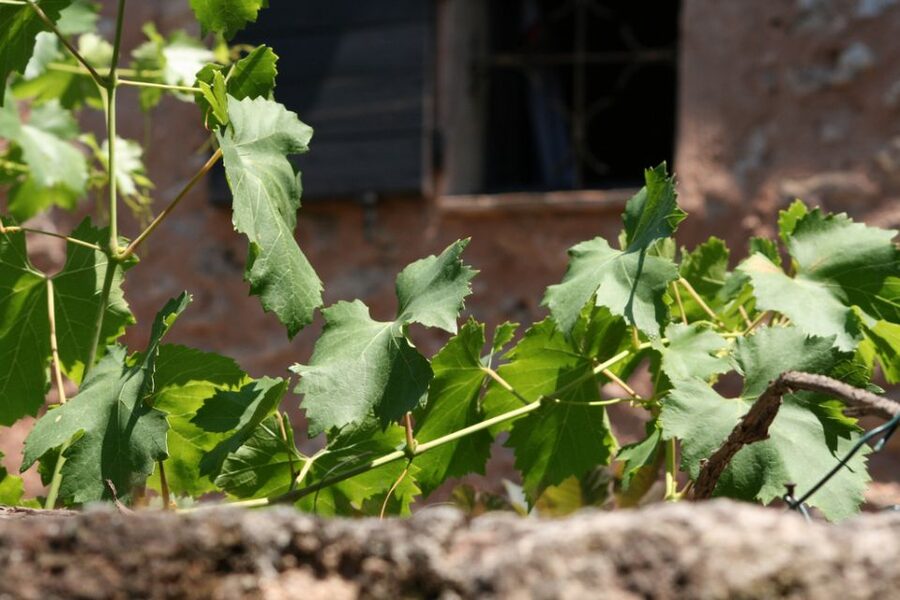 French Riviera: Provencal Wine Tour - The drive from the Riviera into the Var
