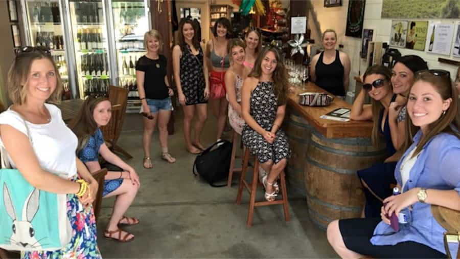 From Adelaide: Barossa to Hahndorf Wine Tasting and Lunch - Who should book this day trip?