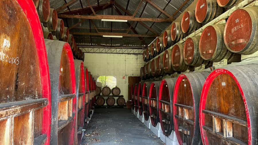 From Adelaide: Barossa to Hahndorf Wine Tasting and Lunch - Hahndorf’s German streets for 90 minutes