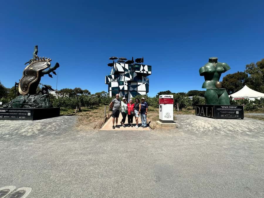 From Adelaide: McLaren Vale Wine Experience - Leaving Adelaide for McLaren Vale